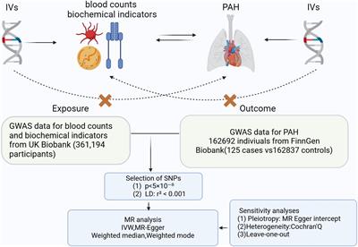 Assessing causal associations of blood counts and biochemical indicators with pulmonary arterial hypertension: a Mendelian randomization study and results from national health and nutrition examination survey 2003–2018